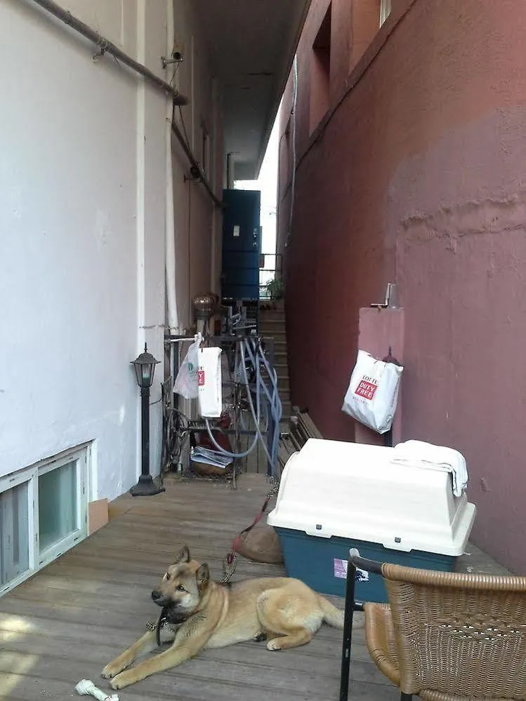 فندق Mama Guest House سيول